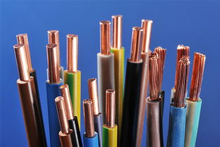 2.5平方电线价格(鸽牌25平方电线价格),第1张 2.5平方电线价格(鸽牌25平方电线价格),2.5平方电线价格(鸽牌25平方电线价格),第1张