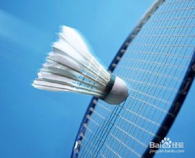 打羽毛球能减肥吗（空腹打羽毛球能减肥吗）,打羽毛球能减肥吗（空腹打羽毛球能减肥吗）,第1张