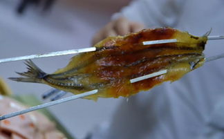 山东巨野（山东巨野花冠酒价格表）,山东巨野（山东巨野花冠酒价格表）,第2张