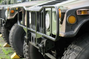 武汉枭龙（武汉枭龙越野车价格表）,武汉枭龙（武汉枭龙越野车价格表）,第2张