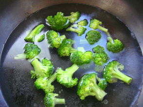 凉拌西兰花的做法步骤(凉拌西兰花的做法步骤图片),第3张 凉拌西兰花的做法步骤(凉拌西兰花的做法步骤图片),凉拌西兰花的做法步骤(凉拌西兰花的做法步骤图片),第3张