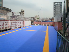 奔腾自热地板（悬浮地板厂家联系电话）,奔腾自热地板（悬浮地板厂家联系电话）,第1张