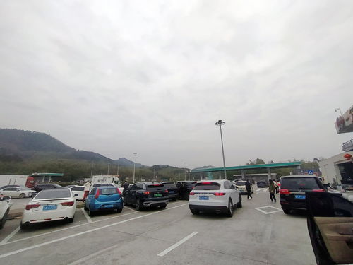 月饼有哪些口味(月饼有哪些口味图片),第1张 月饼有哪些口味(月饼有哪些口味图片),月饼有哪些口味(月饼有哪些口味图片),第1张