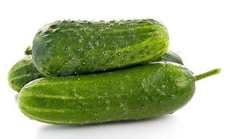 黄瓜的用处(黄瓜的用处是什么),第2张 黄瓜的用处(黄瓜的用处是什么),黄瓜的用处(黄瓜的用处是什么),第2张