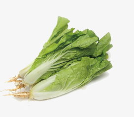 小白菜的做法有哪些(小白菜的十种出色的卓越的优异的杰出的吃法),第3张 小白菜的做法有哪些(小白菜的十种出色的卓越的优异的杰出的吃法),小白菜的做法有哪些(小白菜的十种出色的卓越的优异的杰出的吃法),第3张