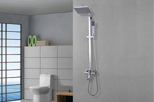 如何选择淋浴房(卫生间淋浴花洒怎么选),第2张 如何选择淋浴房(卫生间淋浴花洒怎么选),如何选择淋浴房(卫生间淋浴花洒怎么选),第2张