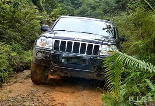 越野(越野车排行榜前十名),第2张 越野(越野车排行榜前十名),越野(越野车排行榜前十名),第2张