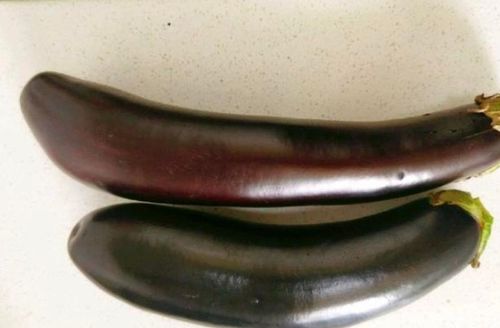 红烧茄子的家常做法简单又好吃视频(红烧茄子的正确做法视频教程),第1张 红烧茄子的家常做法简单又好吃视频(红烧茄子的正确做法视频教程),红烧茄子的家常做法简单又好吃视频(红烧茄子的正确做法视频教程),第1张