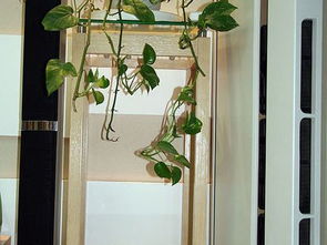 整体浴室(整体浴室淋浴房图片价格),第2张 整体浴室(整体浴室淋浴房图片价格),整体浴室(整体浴室淋浴房图片价格),第2张