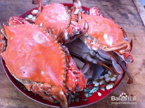 办公装修:爱情的盛宴:用花卉烘托浪漫,第2张 办公装修:爱情的盛宴:用花卉烘托浪漫,办公装修:爱情的盛宴:用花卉烘托浪漫,第2张