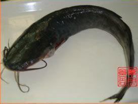 上海厂房装修:「富安娜艺术家纺」解读:家居服饰中的艺术大师,第2张 上海厂房装修:「富安娜艺术家纺」解读:家居服饰中的艺术大师,上海厂房装修:「富安娜艺术家纺」解读:家居服饰中的艺术大师,第2张