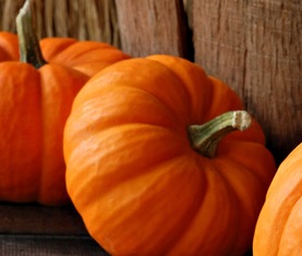 南瓜粥的功效与作用（南瓜的功效与作用）,南瓜粥的功效与作用（南瓜的功效与作用）,第1张