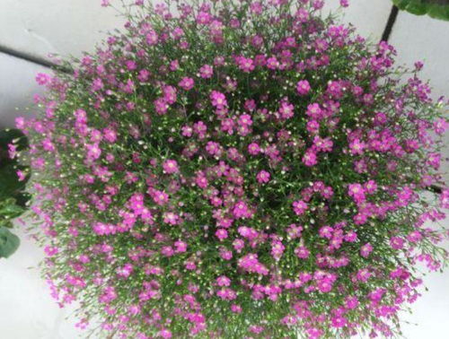 办公装修设计:从窗棂的设计和安装看舒适和安全,第2张 办公装修设计:从窗棂的设计和安装看舒适和安全,办公装修设计:从窗棂的设计和安装看舒适和安全,第2张