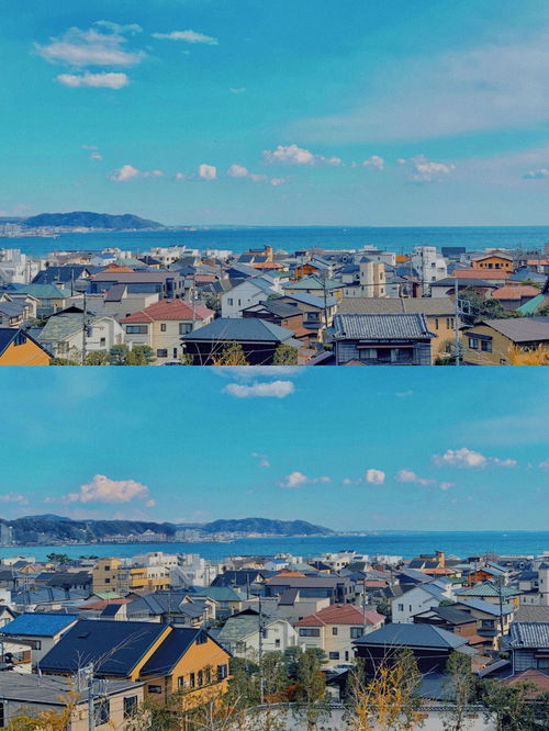 骨的结构(谷的结构),第1张 骨的结构(谷的结构),骨的结构(谷的结构),第1张