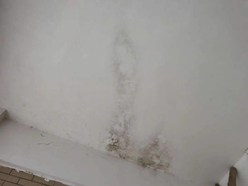 上海厂房装修:「富安娜艺术家纺」解读:家居服饰中的艺术大师,第3张 上海厂房装修:「富安娜艺术家纺」解读:家居服饰中的艺术大师,上海厂房装修:「富安娜艺术家纺」解读:家居服饰中的艺术大师,第3张