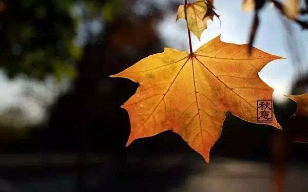 别墅设计:【文化艺术】英国皇室传承十字绣的文化魅力,第1张 别墅设计:【文化艺术】英国皇室传承十字绣的文化魅力,别墅设计:【文化艺术】英国皇室传承十字绣的文化魅力,第1张