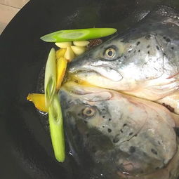 鲜大马哈鱼的做法大全(鲜大马哈鱼怎么做好吃),第2张 鲜大马哈鱼的做法大全(鲜大马哈鱼怎么做好吃),鲜大马哈鱼的做法大全(鲜大马哈鱼怎么做好吃),第2张