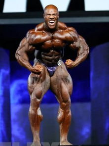 菲尔西斯(菲尔西斯篮球),第2张 菲尔西斯(菲尔西斯篮球),菲尔西斯(菲尔西斯篮球),第2张