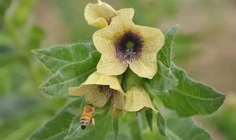 南充家装网(南充家装e站),第1张 南充家装网(南充家装e站),南充家装网(南充家装e站),第1张