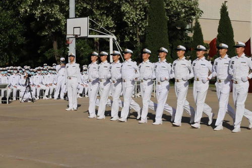 跑步走动作要领(队列跑步走动作要领),第1张 跑步走动作要领(队列跑步走动作要领),跑步走动作要领(队列跑步走动作要领),第1张