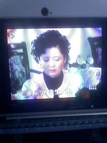 上海办公室装修:潮州货架形塑了小城经济,第2张 上海办公室装修:潮州货架形塑了小城经济,上海办公室装修:潮州货架形塑了小城经济,第2张