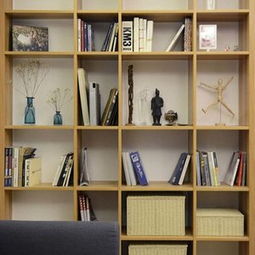 书柜(书柜效果图大全2023款图片),第2张 书柜(书柜效果图大全2023款图片),书柜(书柜效果图大全2023款图片),第2张