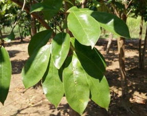 办公室装饰公司:如何选择适合家庭使用的游泳池尺寸?,第2张 办公室装饰公司:如何选择适合家庭使用的游泳池尺寸?,办公室装饰公司:如何选择适合家庭使用的游泳池尺寸?,第2张