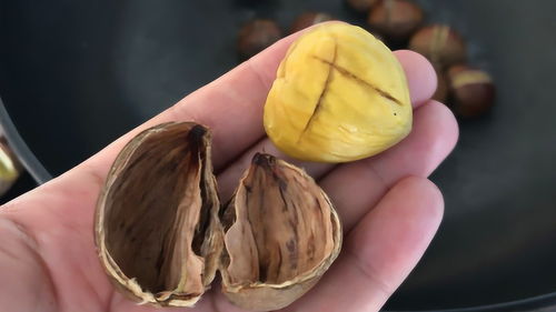 办公室装潢:网络电视之选:如何选择最适合自己的网络电视?,第2张 办公室装潢:网络电视之选:如何选择最适合自己的网络电视?,办公室装潢:网络电视之选:如何选择最适合自己的网络电视?,第2张