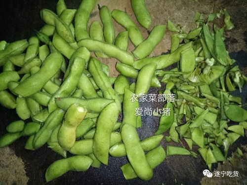 绝味鸭脖的辣毛豆做法（绝味鸭脖的毛豆做法视频）,绝味鸭脖的辣毛豆做法（绝味鸭脖的毛豆做法视频）,第3张