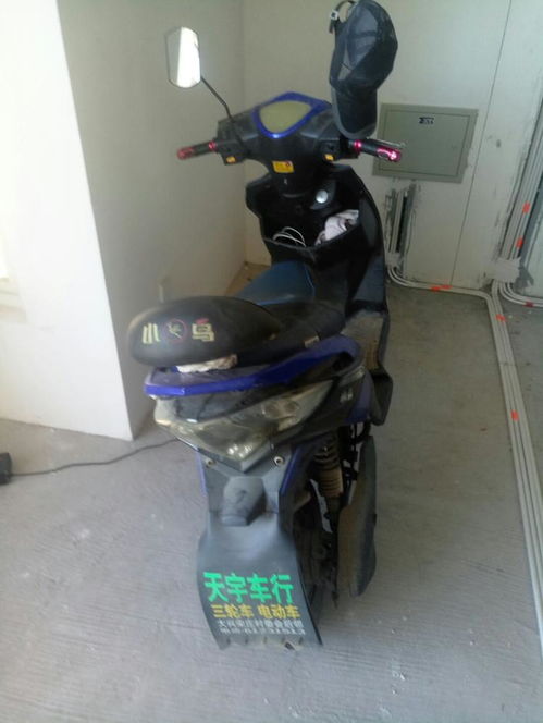 小鸟电动车价格（小鸟电动车价格及图片三轮车）,小鸟电动车价格（小鸟电动车价格及图片三轮车）,第2张