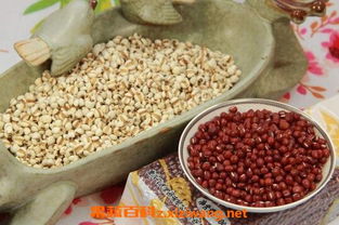 薏仁米的功效(红小豆薏仁米的功效),第3张 薏仁米的功效(红小豆薏仁米的功效),薏仁米的功效(红小豆薏仁米的功效),第3张