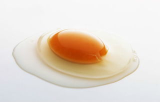 上海装修公司:【未涉及版权问题】,第3张 上海装修公司:【未涉及版权问题】,上海装修公司:【未涉及版权问题】,第3张