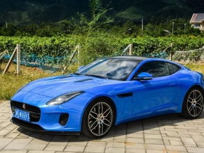 jaguar(jaguar是虎还是豹),第3张 jaguar(jaguar是虎还是豹),jaguar(jaguar是虎还是豹),第3张