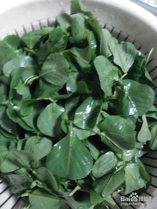 上海装饰:格来德电热水壶:智能热水壶的全面升级,第3张 上海装饰:格来德电热水壶:智能热水壶的全面升级,上海装饰:格来德电热水壶:智能热水壶的全面升级,第3张