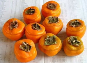 哈莱姆摇摆舞(哈莱姆慈善宴会),第1张 哈莱姆摇摆舞(哈莱姆慈善宴会),哈莱姆摇摆舞(哈莱姆慈善宴会),第1张