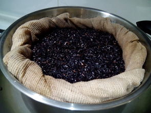 家庭自制醪糟的做法窍门（家庭自制醪糟的做法窍门是什么）,家庭自制醪糟的做法窍门（家庭自制醪糟的做法窍门是什么）,第1张