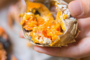 一旬(一旬一味),第3张 一旬(一旬一味),一旬(一旬一味),第3张