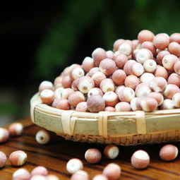 水箱宝(水箱宝绿色和红色可以混用吗?),第1张 水箱宝(水箱宝绿色和红色可以混用吗?),水箱宝(水箱宝绿色和红色可以混用吗?),第1张