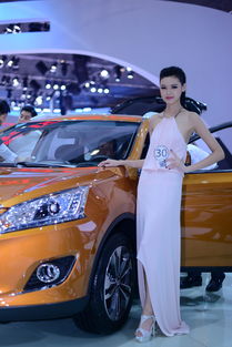 第十五届成都国际车展(第十七届成都国际车展),第2张 第十五届成都国际车展(第十七届成都国际车展),第十五届成都国际车展(第十七届成都国际车展),第2张