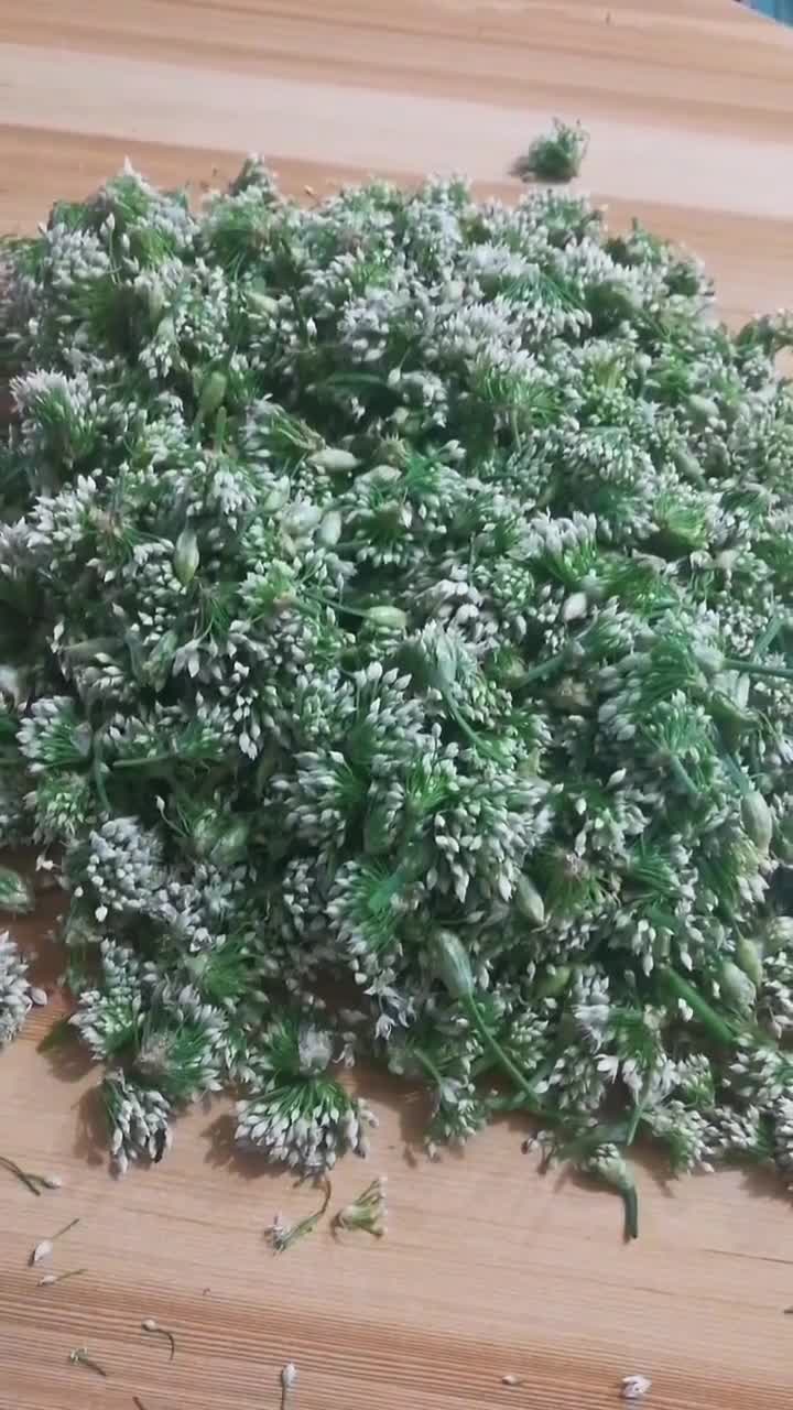 自制韭菜花的做法大全(自制韭菜花的做法大全图解),第1张 自制韭菜花的做法大全(自制韭菜花的做法大全图解),自制韭菜花的做法大全(自制韭菜花的做法大全图解),第1张