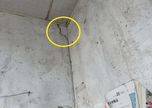 面点花样(面点花样视频制作大全),第1张 面点花样(面点花样视频制作大全),面点花样(面点花样视频制作大全),第1张