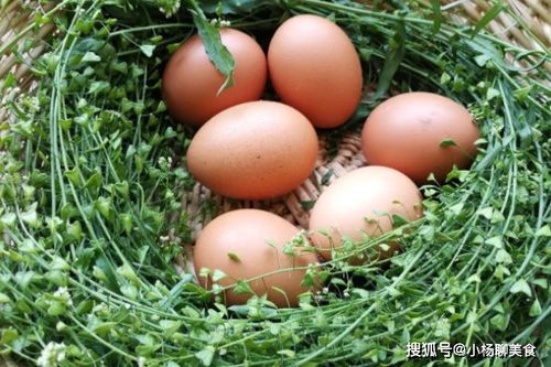 红艾叶煮鸡蛋的功效(红艾叶煮鸡蛋的功效可以经期吃吗?),第3张 红艾叶煮鸡蛋的功效(红艾叶煮鸡蛋的功效可以经期吃吗?),红艾叶煮鸡蛋的功效(红艾叶煮鸡蛋的功效可以经期吃吗?),第3张