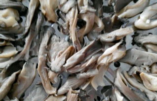 现代索纳塔名驭(现代索纳塔名驭2010),第1张 现代索纳塔名驭(现代索纳塔名驭2010),现代索纳塔名驭(现代索纳塔名驭2010),第1张