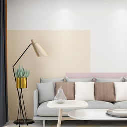 捷豹剑桥限量版(捷豹kentech),第2张 捷豹剑桥限量版(捷豹kentech),捷豹剑桥限量版(捷豹kentech),第2张