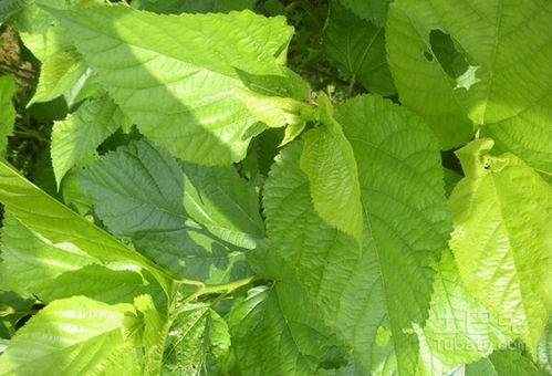 上海办公室装潢:杭州落户政策优化,掌握这些流程!,第2张 上海办公室装潢:杭州落户政策优化,掌握这些流程!,上海办公室装潢:杭州落户政策优化,掌握这些流程!,第2张