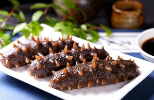 海参的做法最好吃(海参6种简单的家常吃法),第3张 海参的做法最好吃(海参6种简单的家常吃法),海参的做法最好吃(海参6种简单的家常吃法),第3张