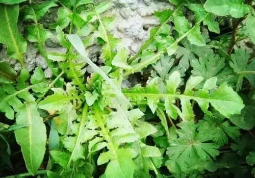 高端办公楼装修:走进上海,品味楼梯扶手的艺术之美,第1张 高端办公楼装修:走进上海,品味楼梯扶手的艺术之美,高端办公楼装修:走进上海,品味楼梯扶手的艺术之美,第1张