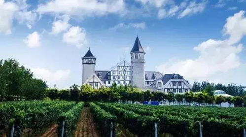 2013奥迪a4(2013奥迪a4l图片),第2张 2013奥迪a4(2013奥迪a4l图片),2013奥迪a4(2013奥迪a4l图片),第2张