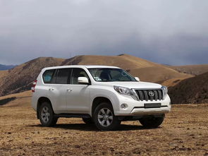 经济型汽车(经济型汽车有哪些),第2张 经济型汽车(经济型汽车有哪些),经济型汽车(经济型汽车有哪些),第2张