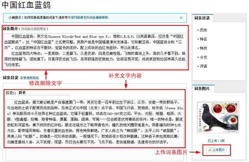 包含h2论坛的词条,第2张 包含h2论坛的词条,包含h2论坛的词条,第2张